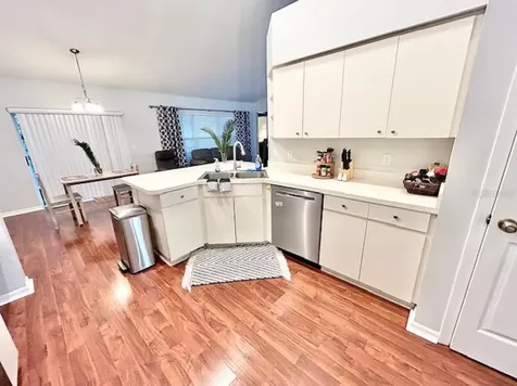1135 Big Sky Drive Wesley Chapel FL 33543