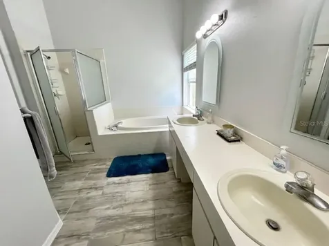 1135 Big Sky Drive Wesley Chapel FL 33543