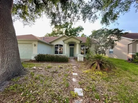 1135 Big Sky Drive Wesley Chapel FL 33543