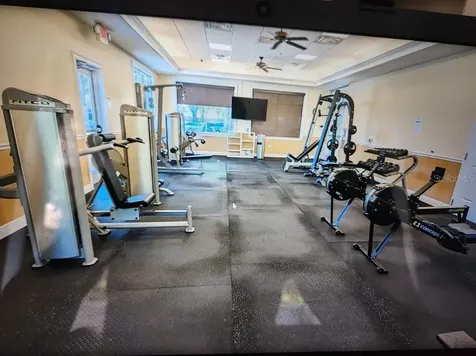 1135 Big Sky Drive Wesley Chapel FL 33543