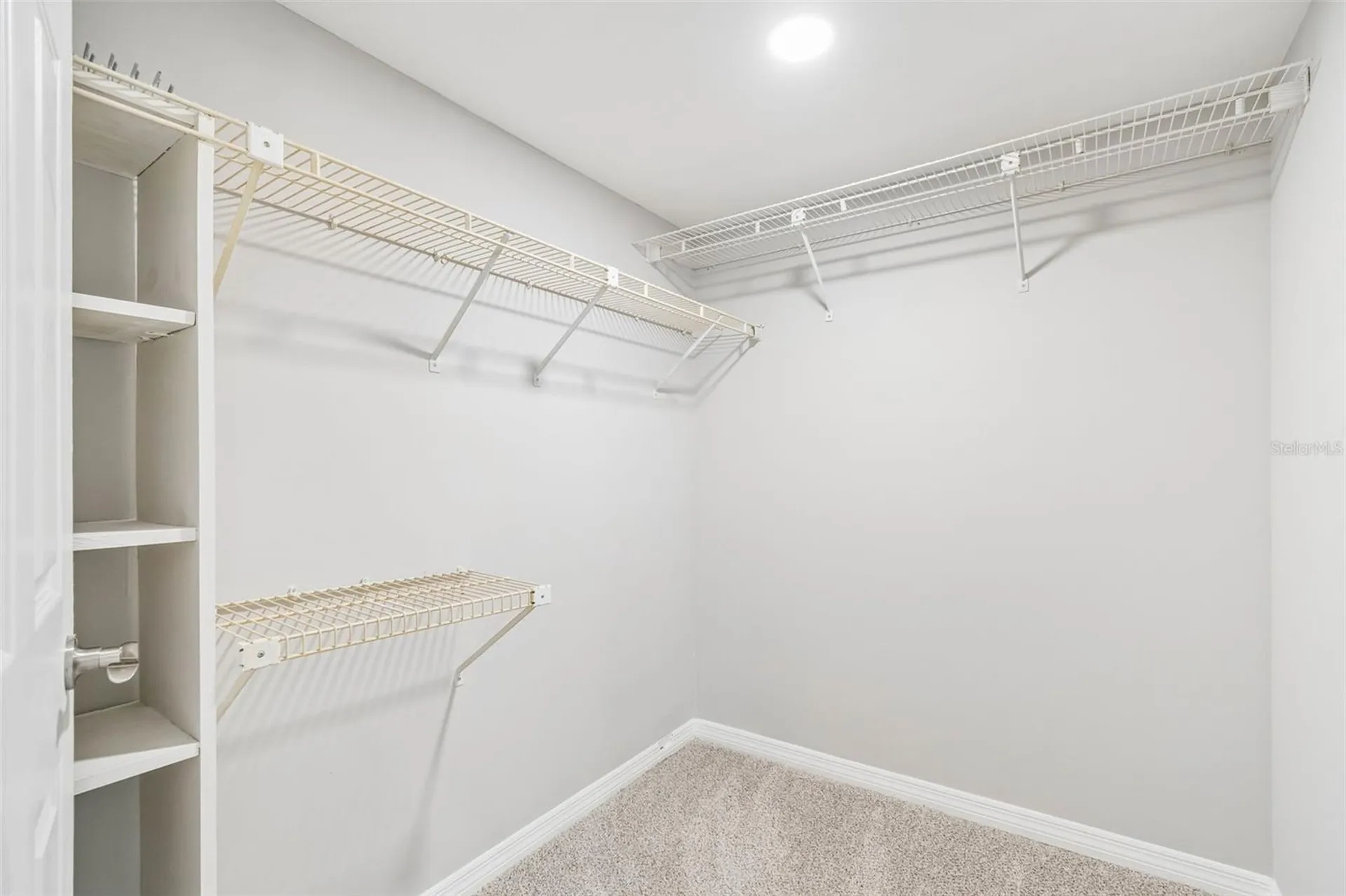 2533 Dolly Bay Drive Palm Harbor FL 34684