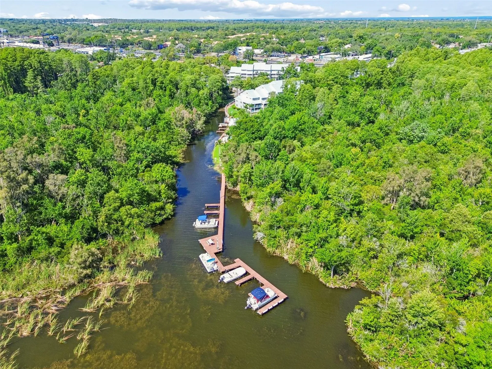 2533 Dolly Bay Drive Palm Harbor FL 34684