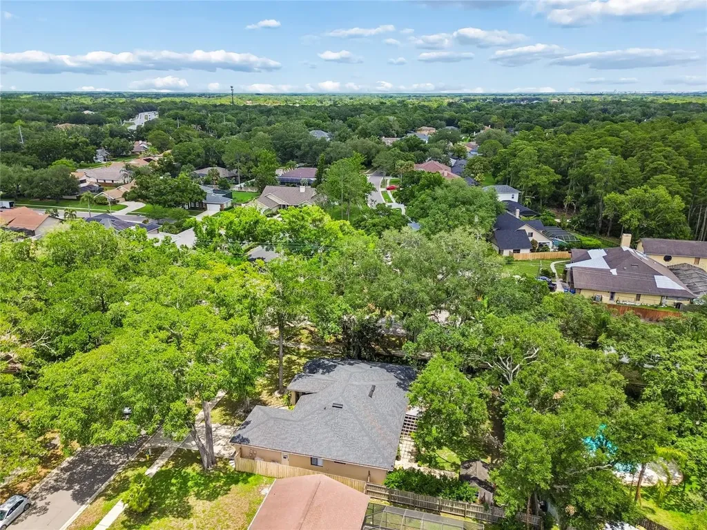 3602 Arlington Oaks Court Tampa FL 33618