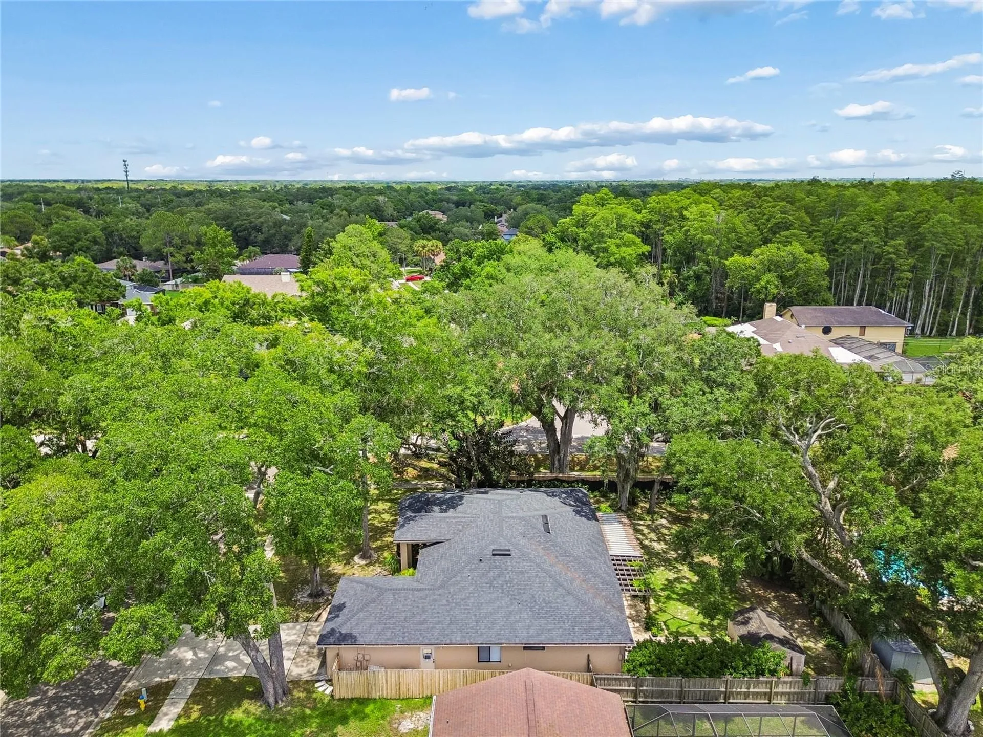 3602 Arlington Oaks Court Tampa FL 33618