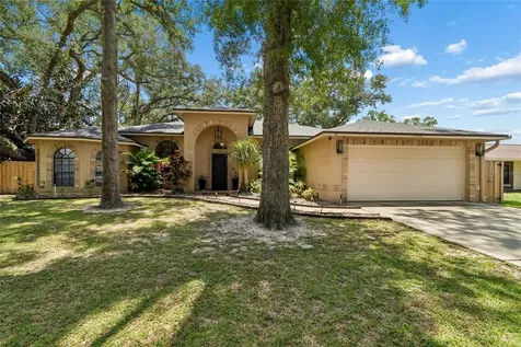 3602 Arlington Oaks Court Tampa FL 33618