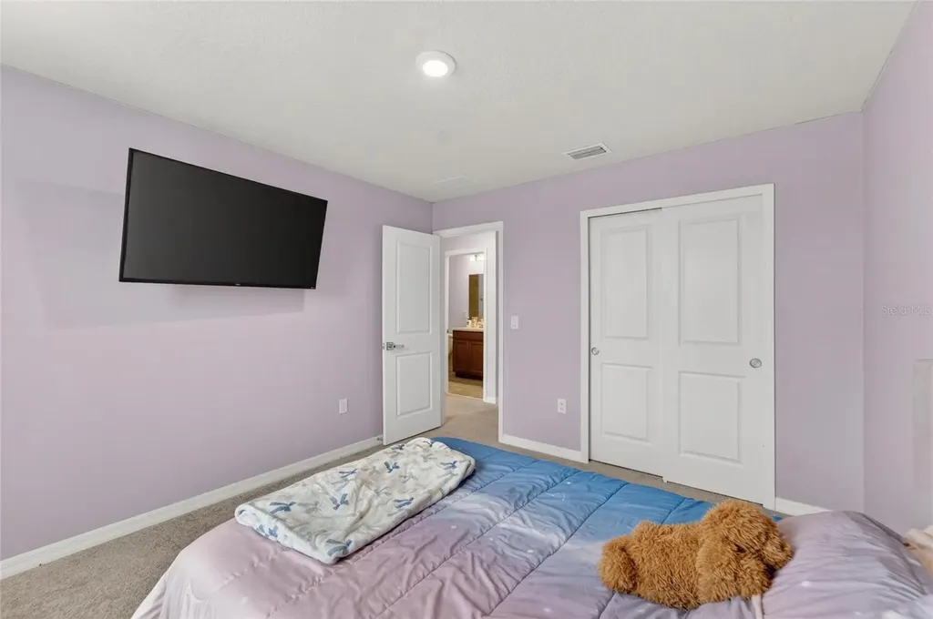 13519 Palmera Vista Drive Riverview FL 33579