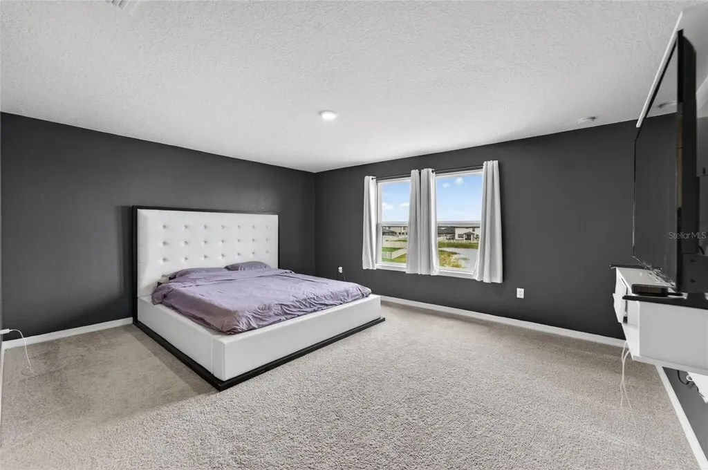 13519 Palmera Vista Drive Riverview FL 33579