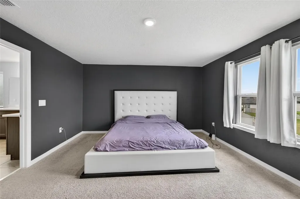 13519 Palmera Vista Drive Riverview FL 33579