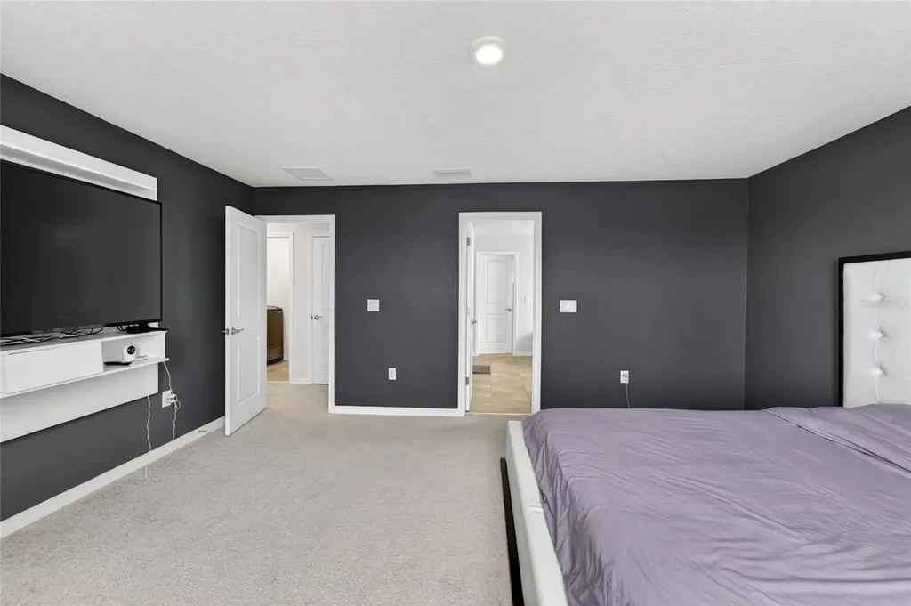 13519 Palmera Vista Drive Riverview FL 33579