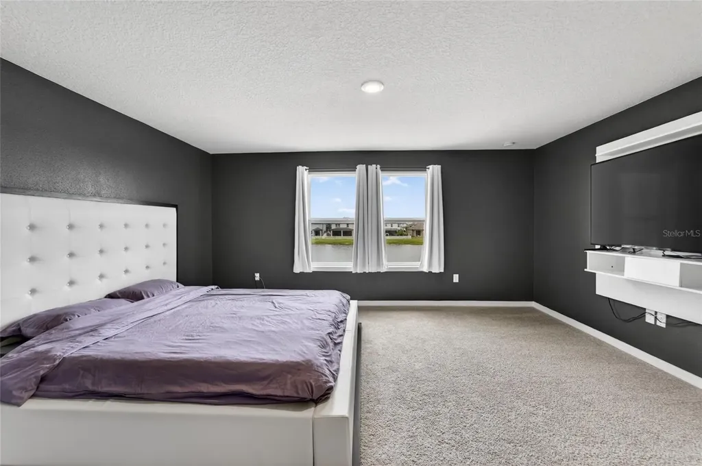 13519 Palmera Vista Drive Riverview FL 33579