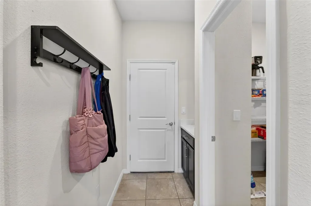 13519 Palmera Vista Drive Riverview FL 33579