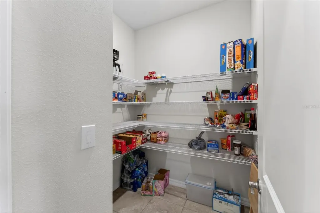 13519 Palmera Vista Drive Riverview FL 33579