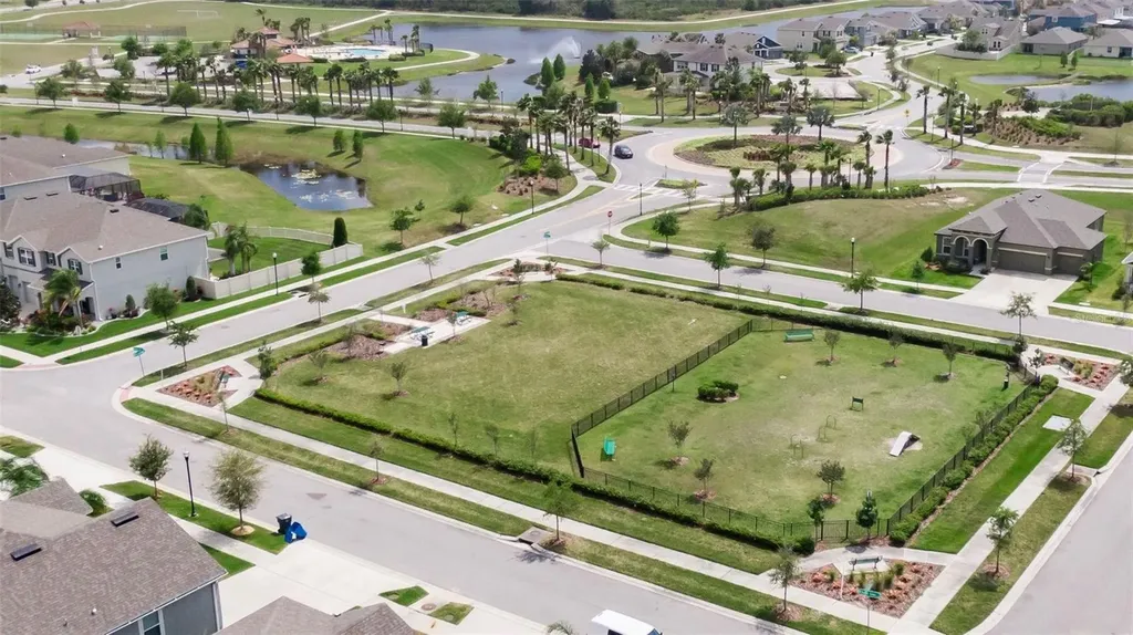 13519 Palmera Vista Drive Riverview FL 33579