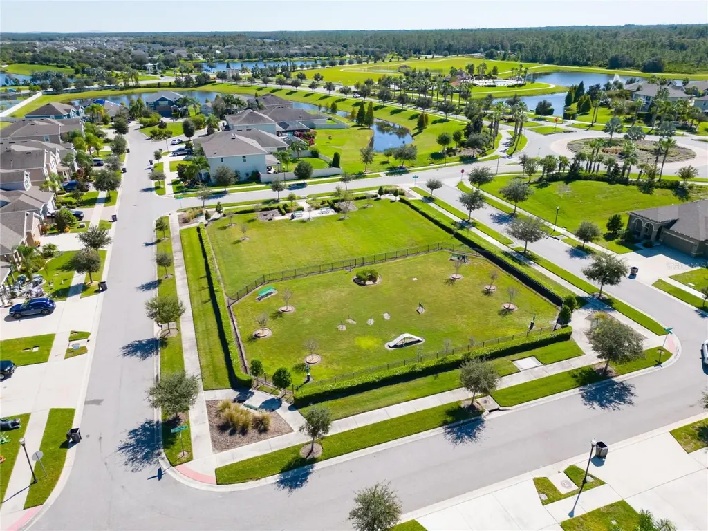 13519 Palmera Vista Drive Riverview FL 33579