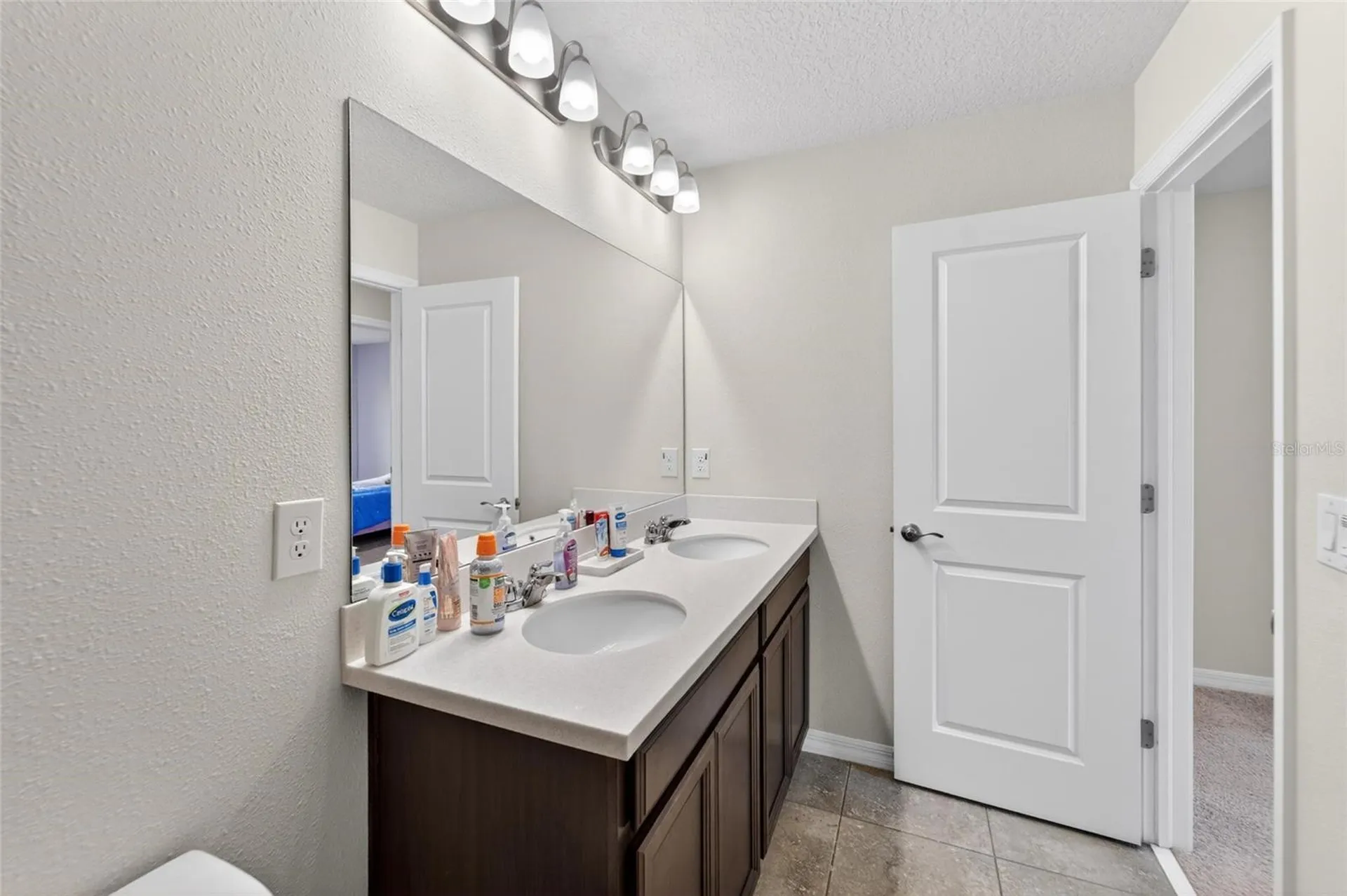 13519 Palmera Vista Drive Riverview FL 33579