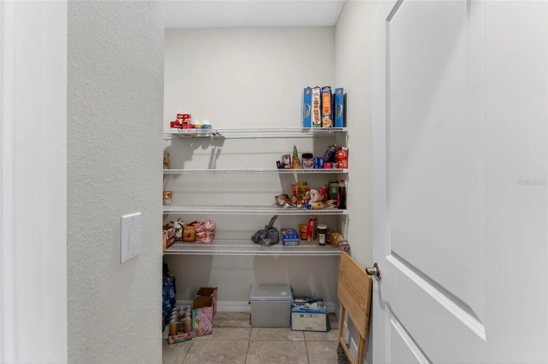 13519 Palmera Vista Drive Riverview FL 33579