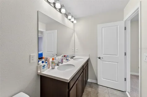 13519 Palmera Vista Drive Riverview FL 33579
