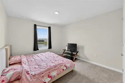 13519 Palmera Vista Drive Riverview FL 33579