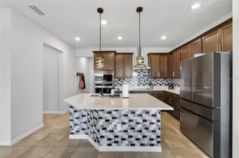 13519 Palmera Vista Drive Riverview FL 33579
