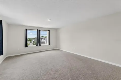 13519 Palmera Vista Drive Riverview FL 33579