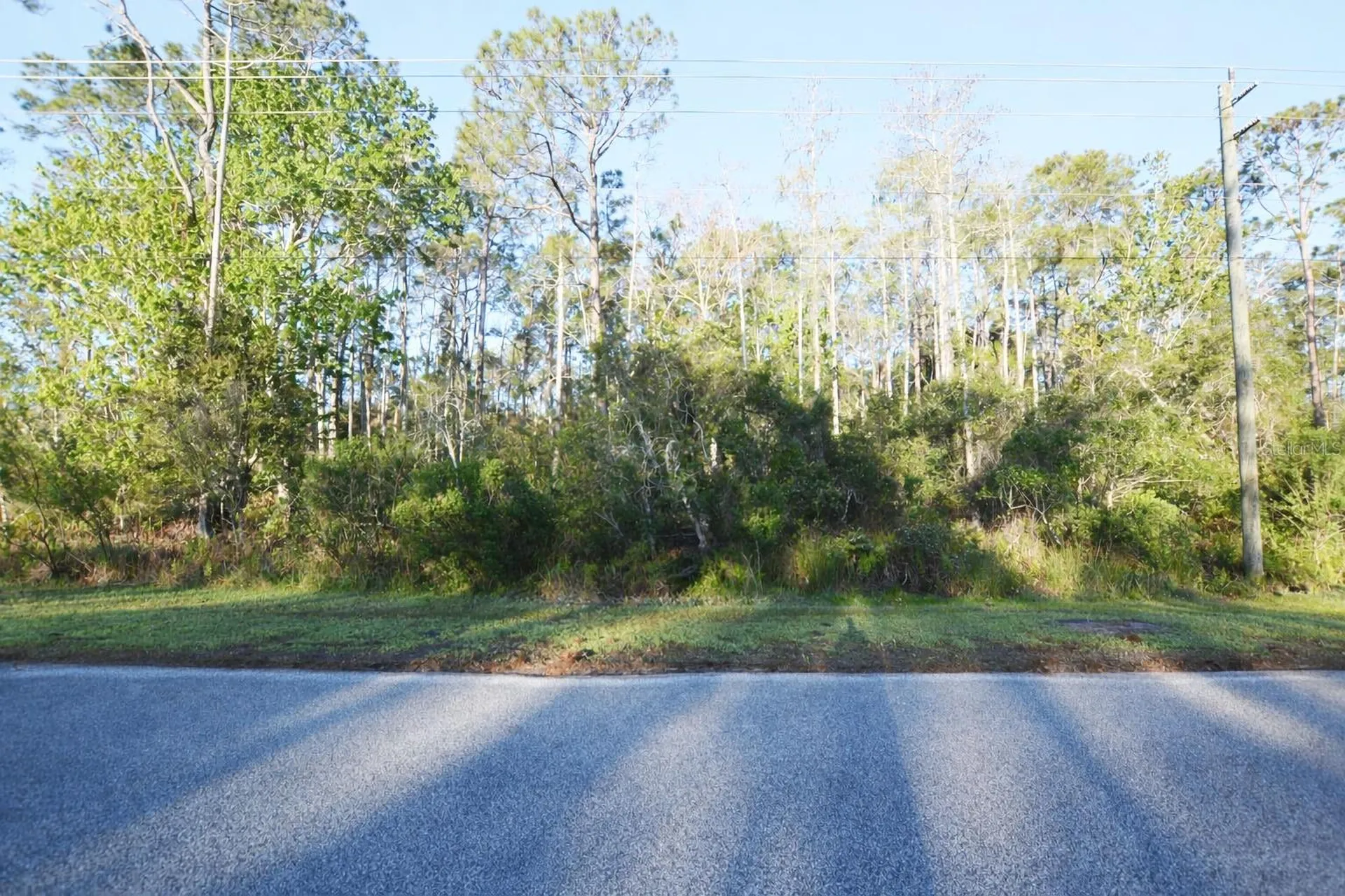 Xxxx Pine Lakes Parkway Palm Coast FL 32164