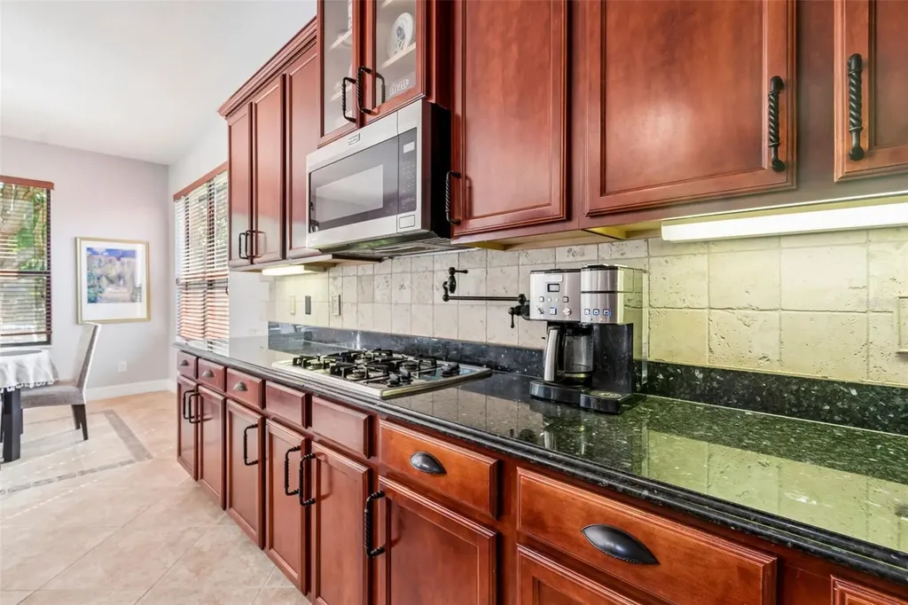 3654 Ballastone Drive Land O Lakes FL 34638