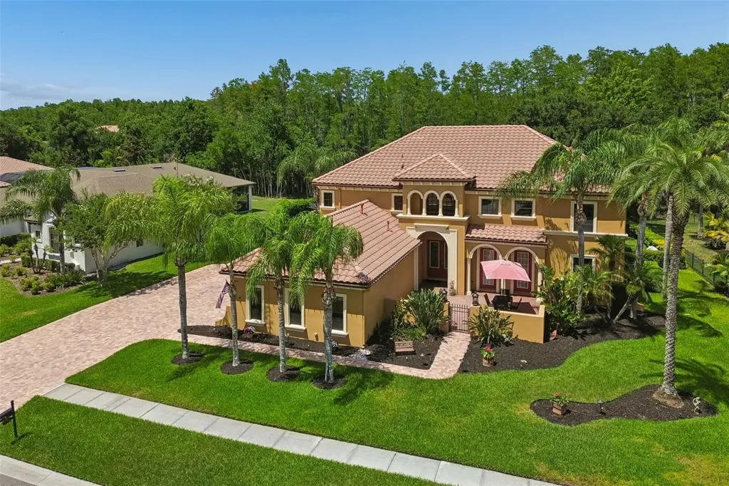 3654 Ballastone Drive Land O Lakes FL 34638