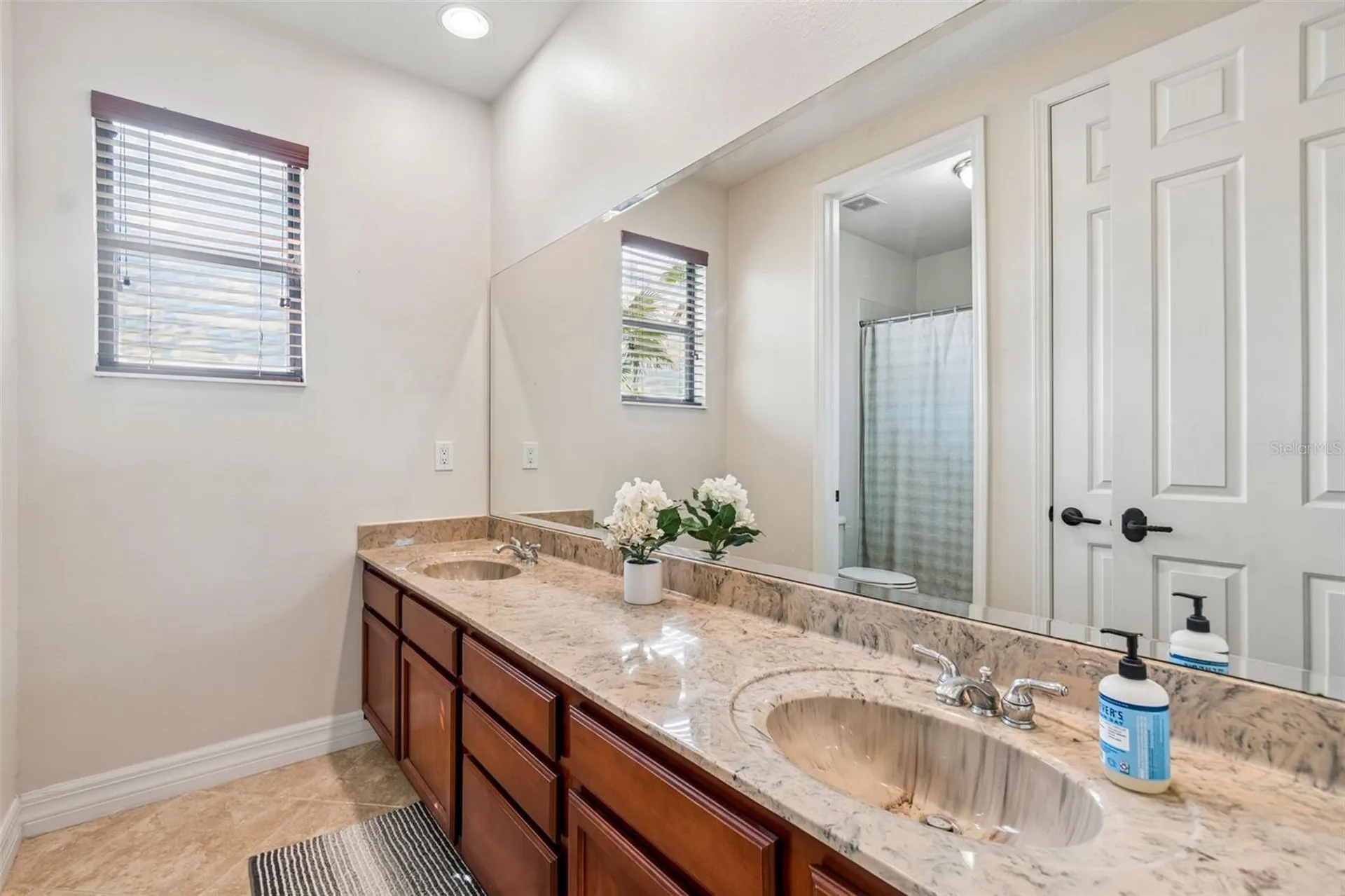 3654 Ballastone Drive Land O Lakes FL 34638