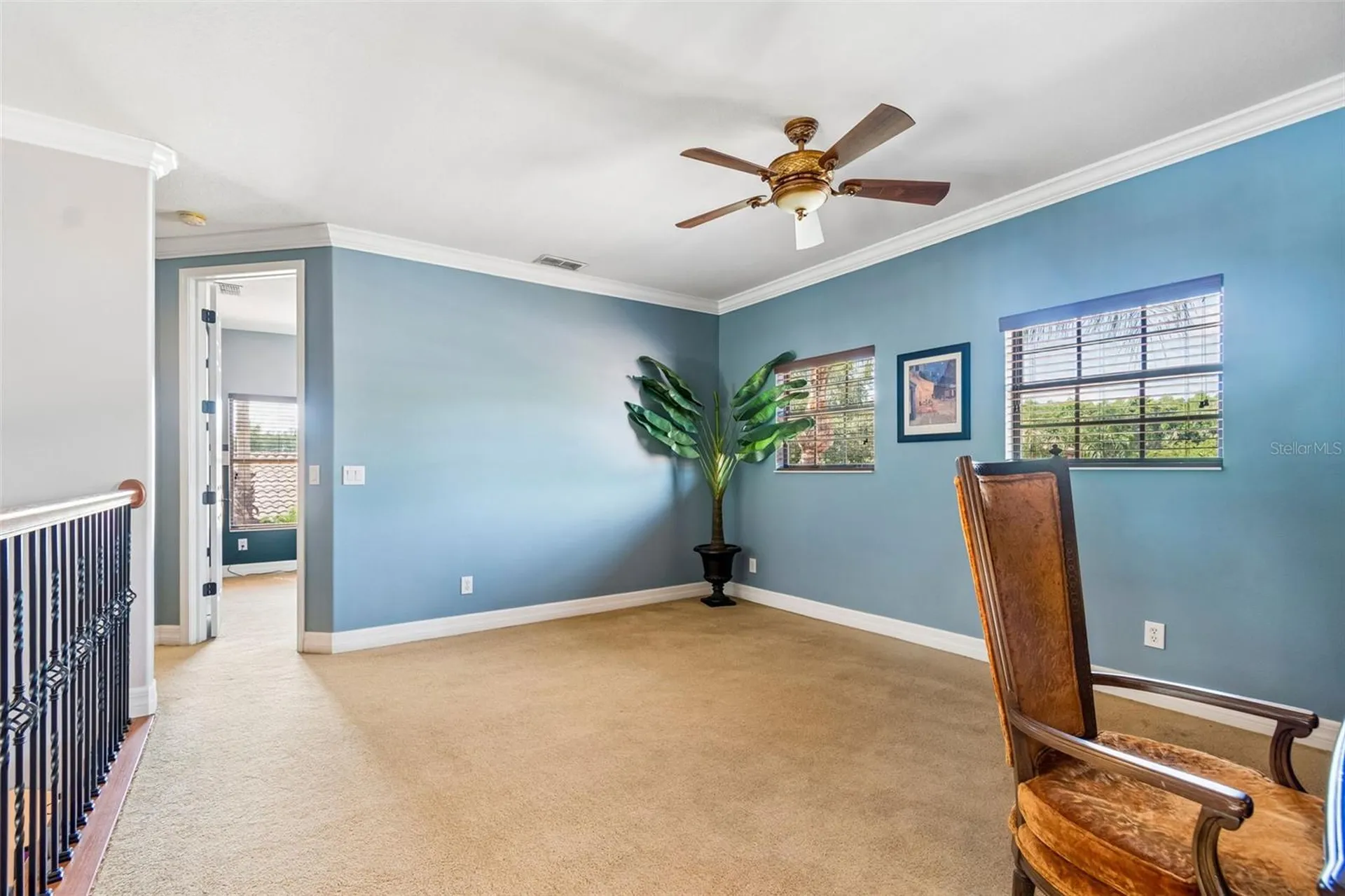 3654 Ballastone Drive Land O Lakes FL 34638