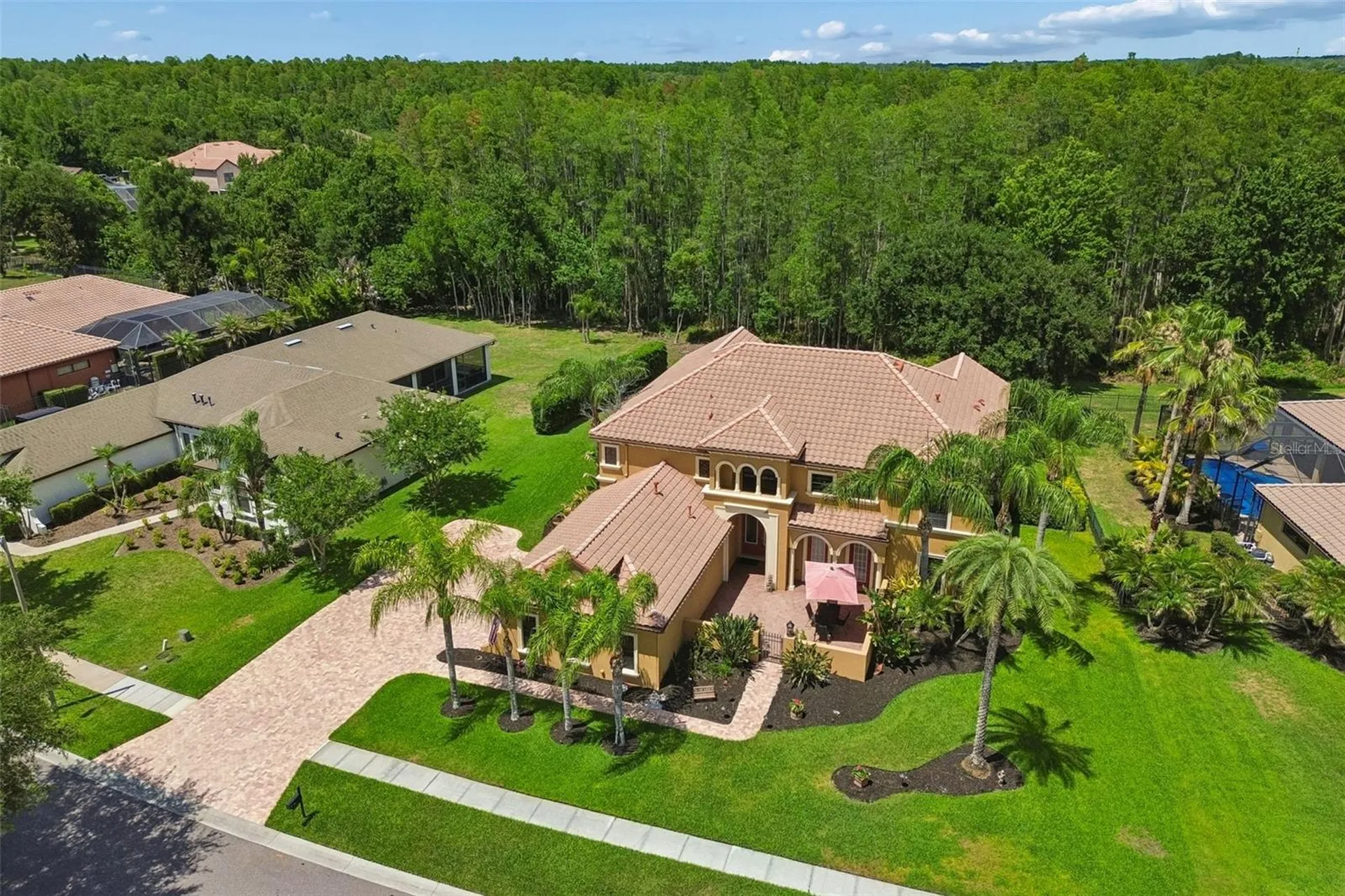 3654 Ballastone Drive Land O Lakes FL 34638