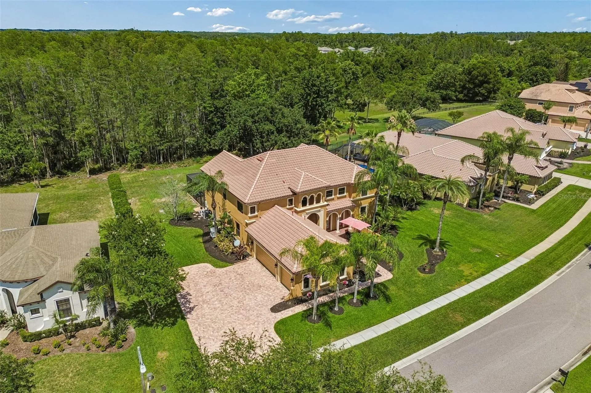 3654 Ballastone Drive Land O Lakes FL 34638