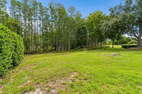 3654 Ballastone Drive Land O Lakes FL 34638
