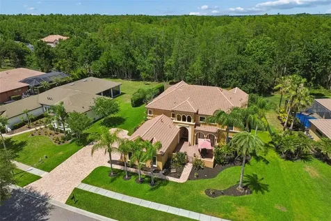 3654 Ballastone Drive Land O Lakes FL 34638