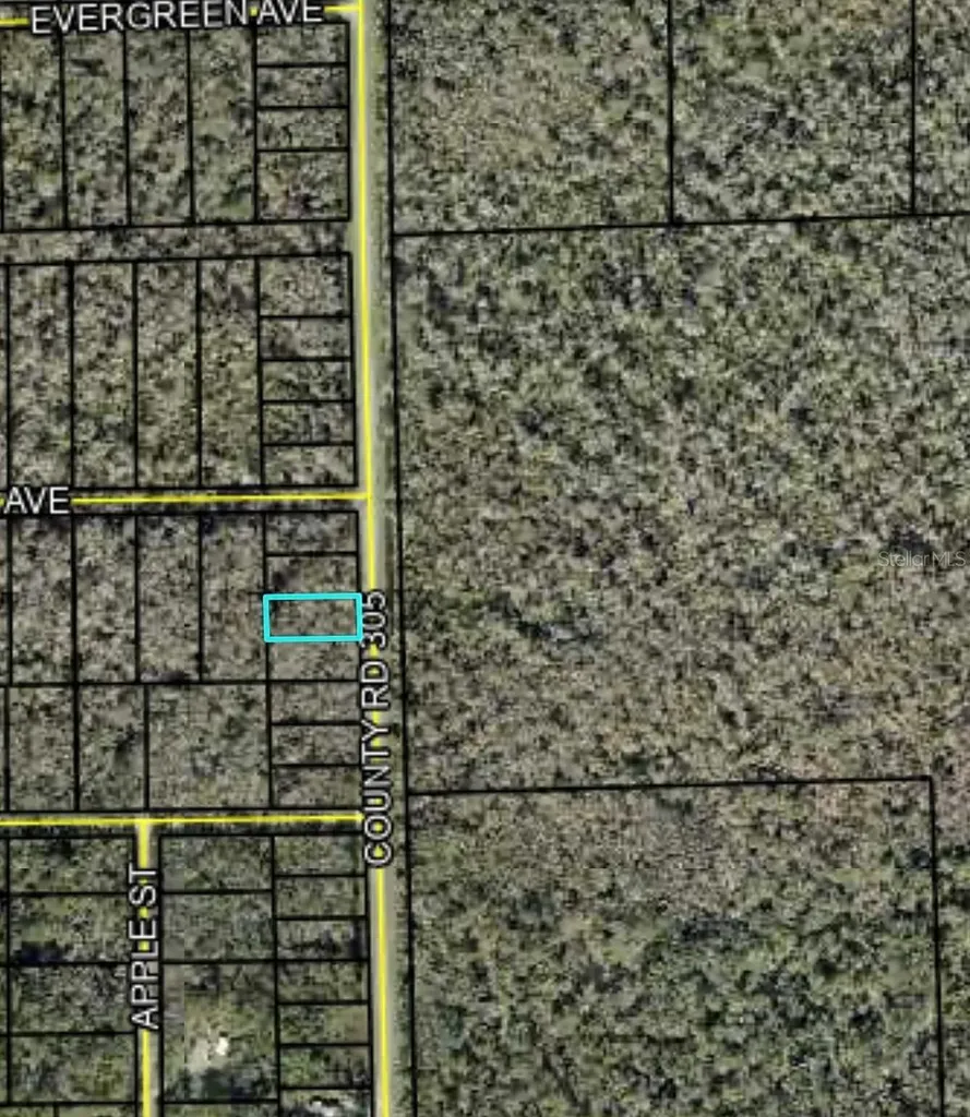2166 Cr-305 Bunnell FL 32110