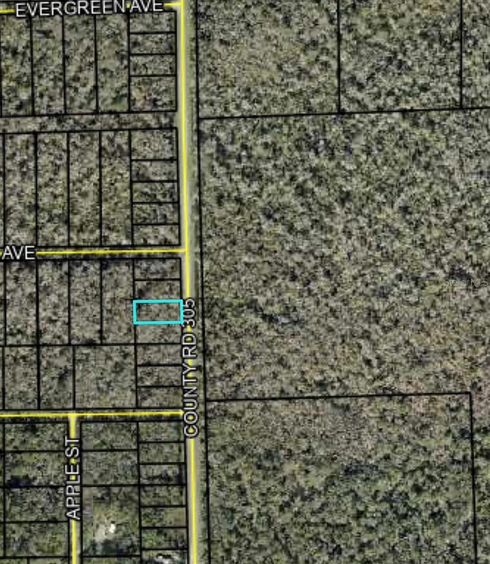 2166 Cr-305 Bunnell FL 32110