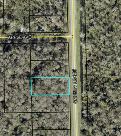 2166 CR-305 Bunnell FL 32110