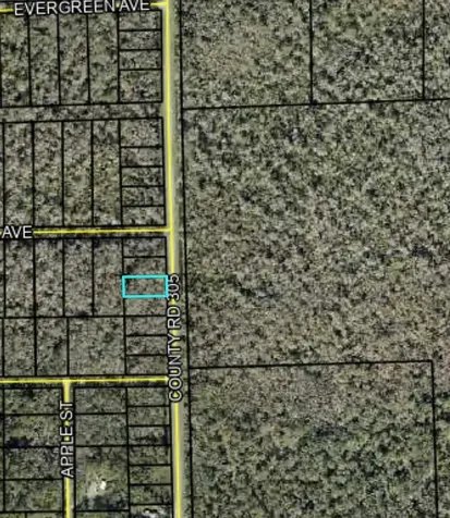 2166 CR-305 Bunnell FL 32110