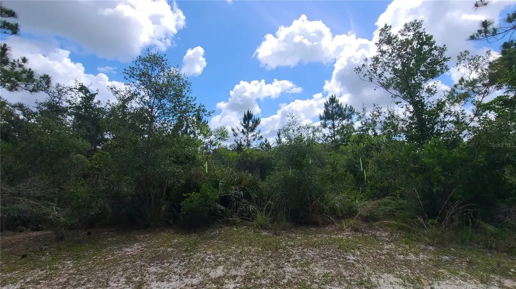 2575 Bear Run S Frostproof FL 33843
