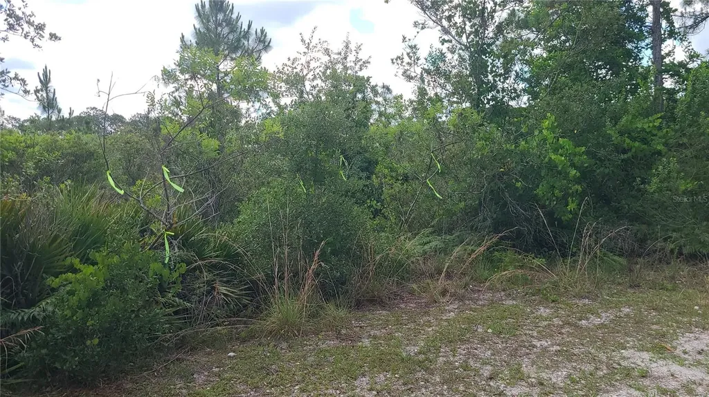 2575 Bear Run S Frostproof FL 33843
