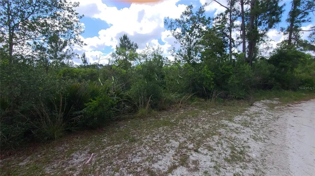 2575 Bear Run S Frostproof FL 33843