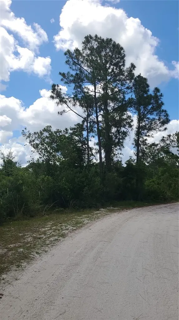 2575 Bear Run S Frostproof FL 33843