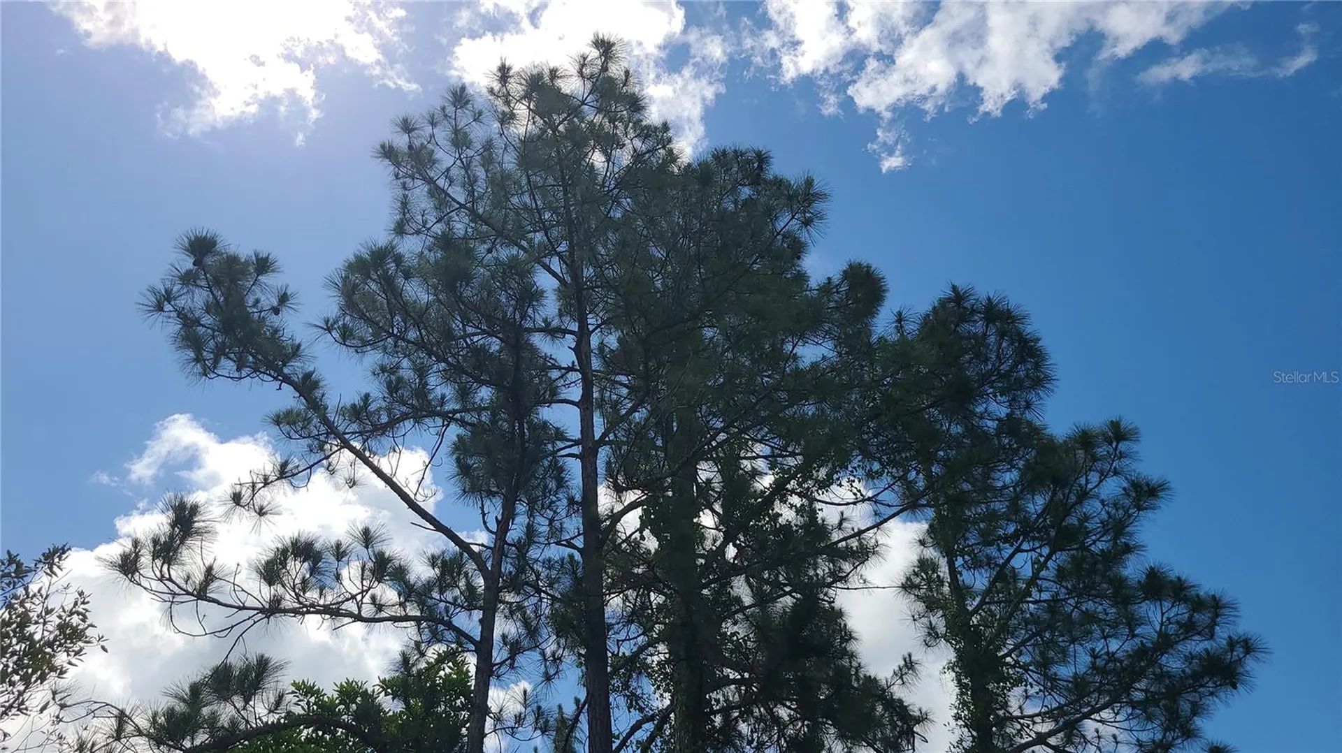 2575 Bear Run S Frostproof FL 33843