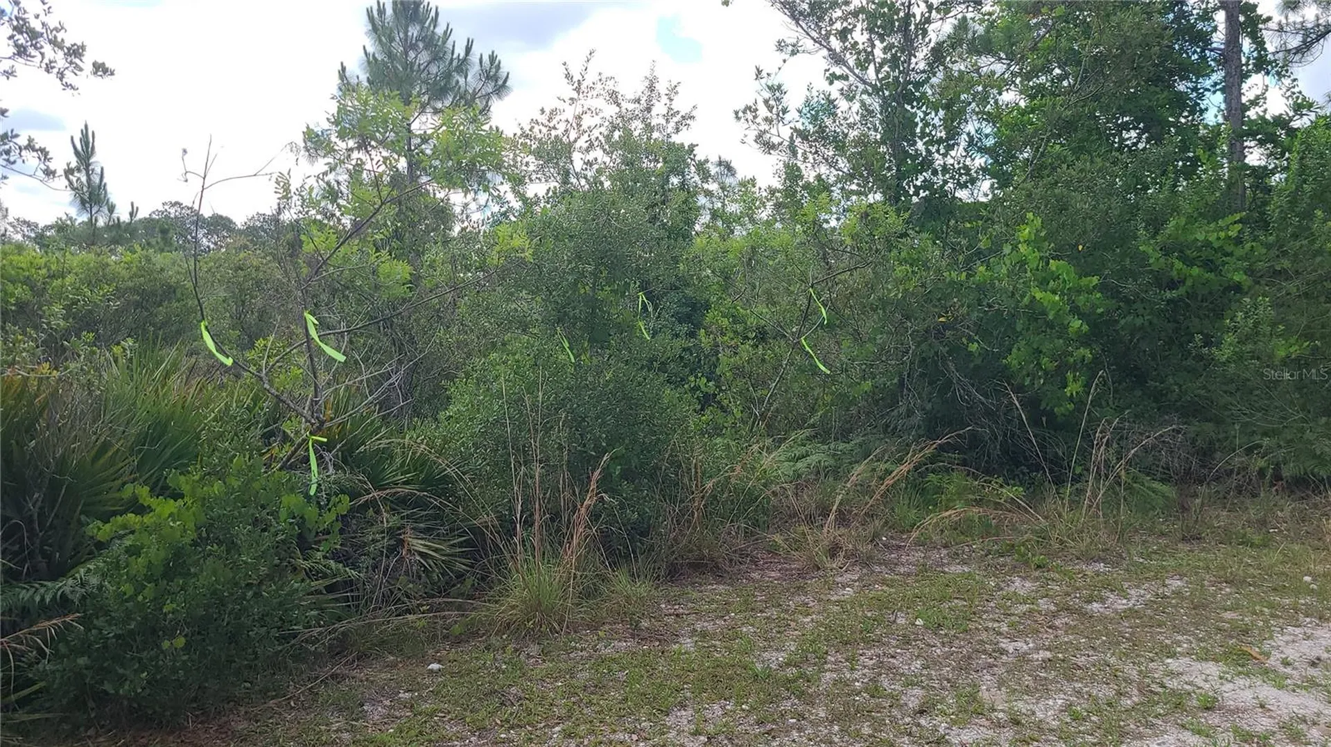 2575 Bear Run S Frostproof FL 33843