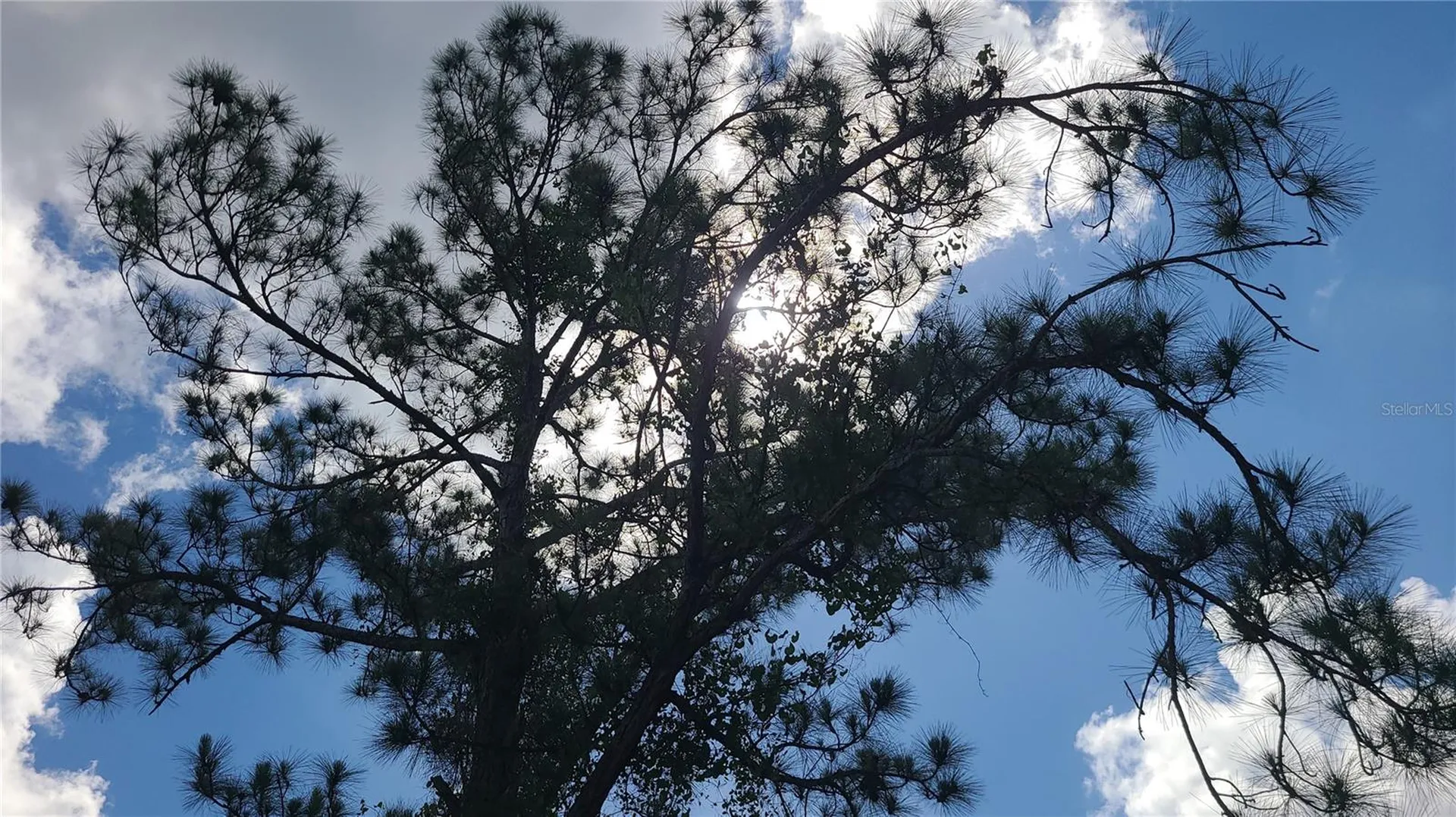 2575 Bear Run S Frostproof FL 33843