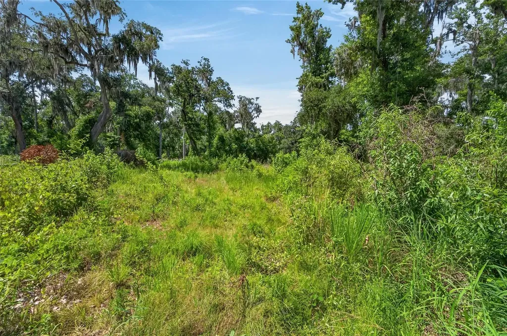 672 Highway Lithia FL 33547