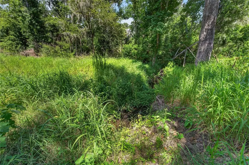 672 Highway Lithia FL 33547