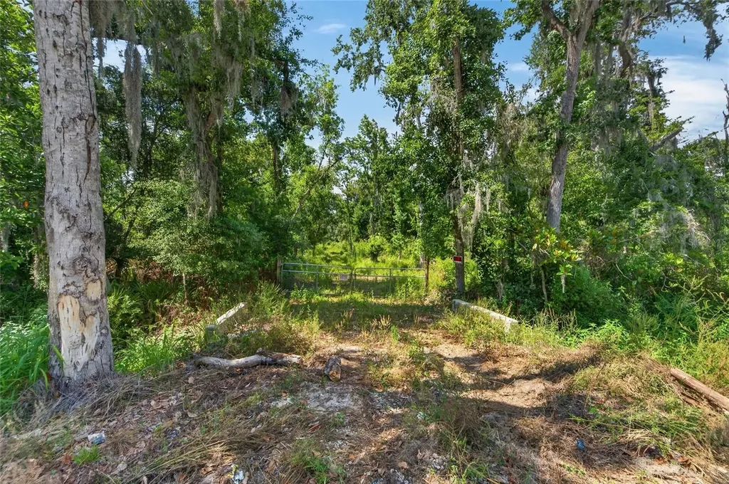 672 Highway Lithia FL 33547