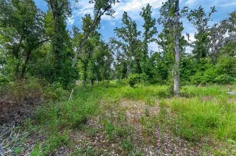 672 Highway Lithia FL 33547
