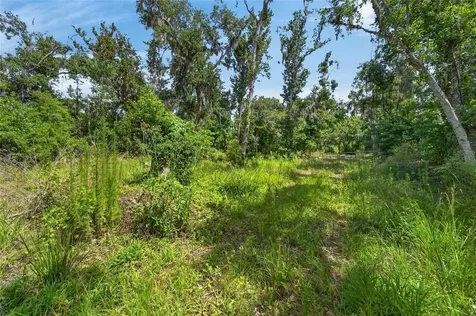 672 Highway Lithia FL 33547