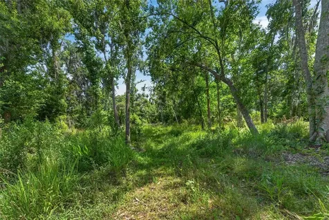 672 Highway Lithia FL 33547